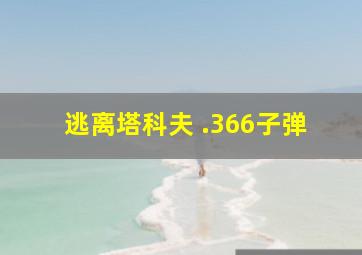 逃离塔科夫 .366子弹